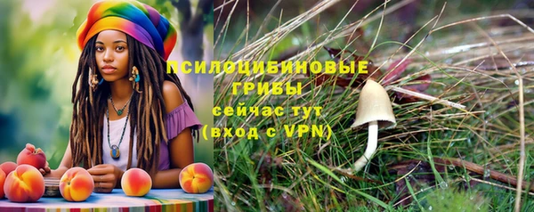 соль курить ск Волоколамск