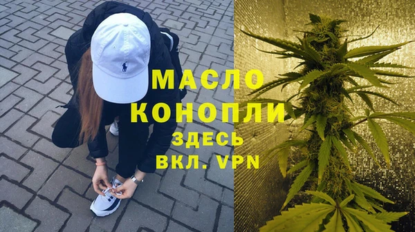 индика Снежинск