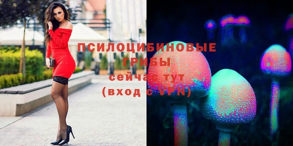 соль ск Снежногорск